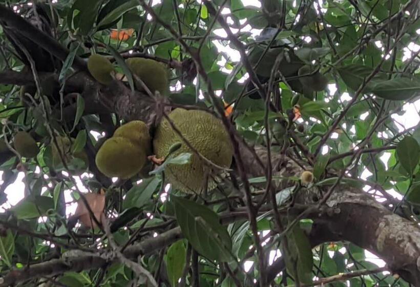 旅馆 Silver Oak By Exuberance Stays