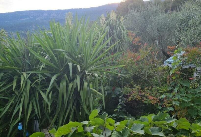 住宿加早餐  Chambres D Hôtes Des Oliviers