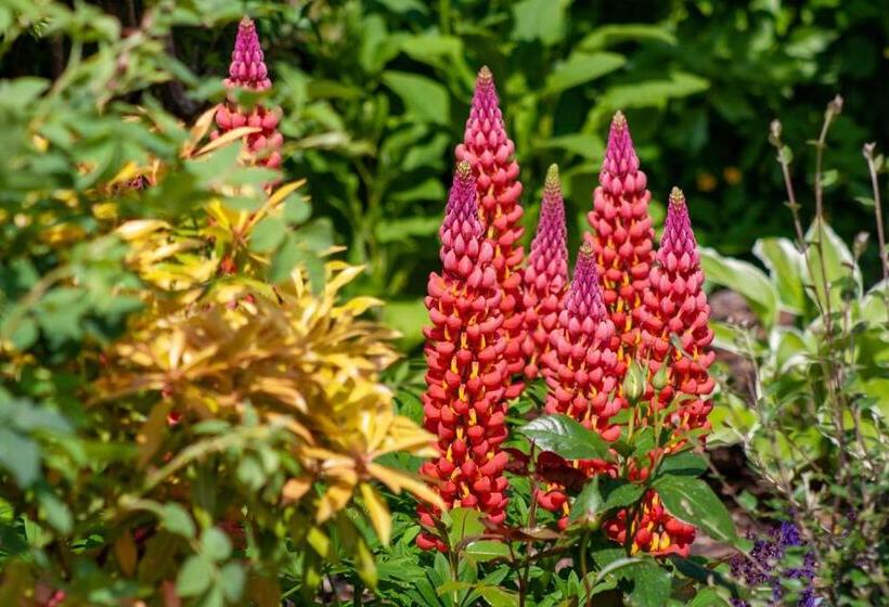 Home Farm B&b   Poppy Room