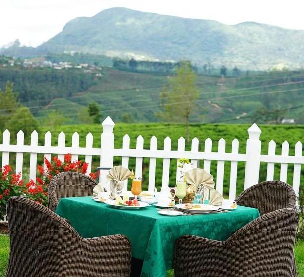 酒店 Victoria Court Suites