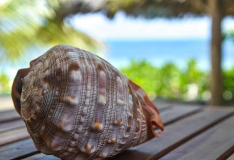 בית מלון כפרי Villa Malaika