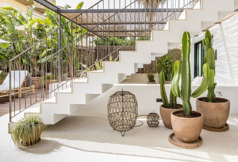 پانسیون Can Micalet Formentera