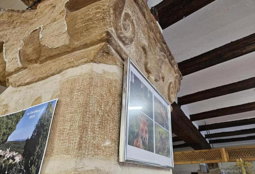 膳宿费 Hostal La Cerollera