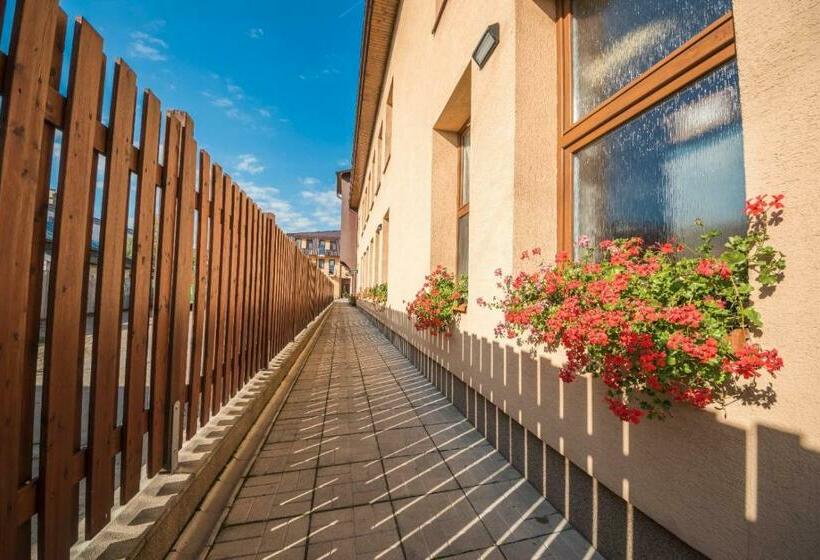 بنسيون Penzión Radlinka