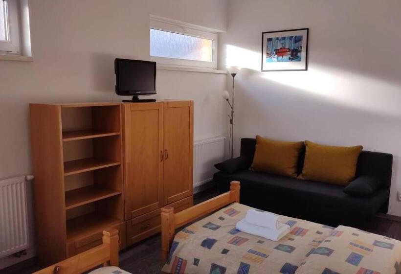 بنسيون Penzión Radlinka