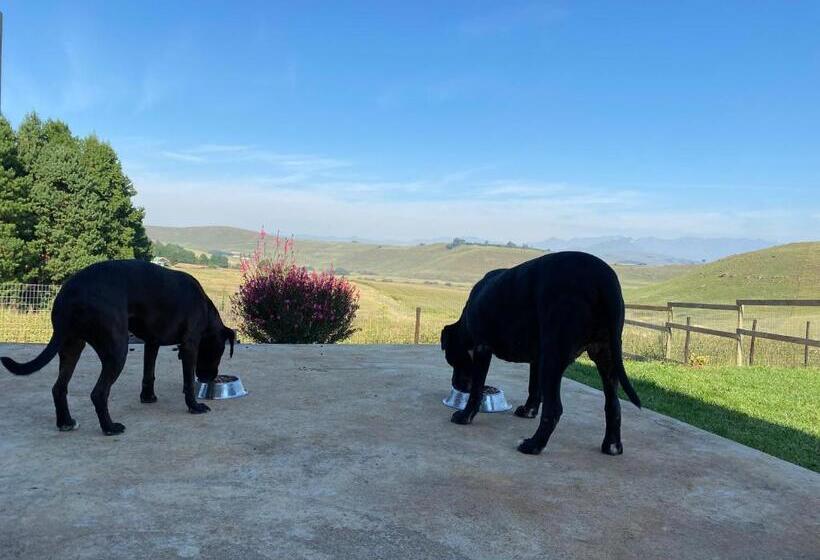 פנסיון Twin Peaks