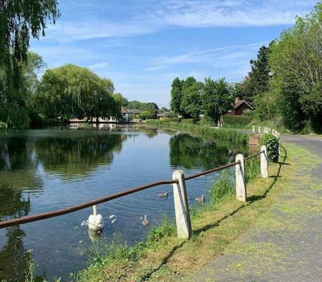 فندق صغير The Richmond Arms Rooms