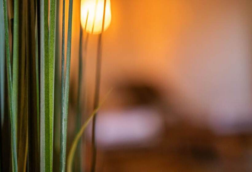 فندق Burg Gutenfels