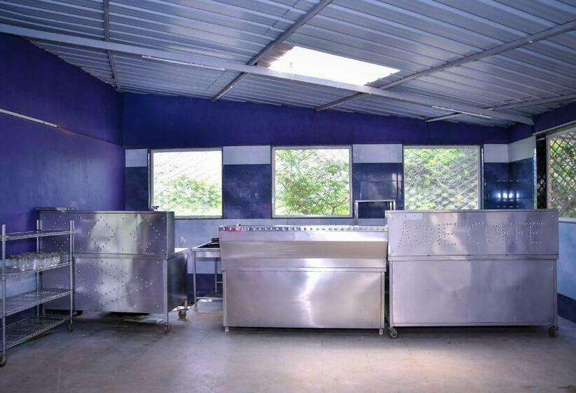 فندق Giri Sarovar Resort