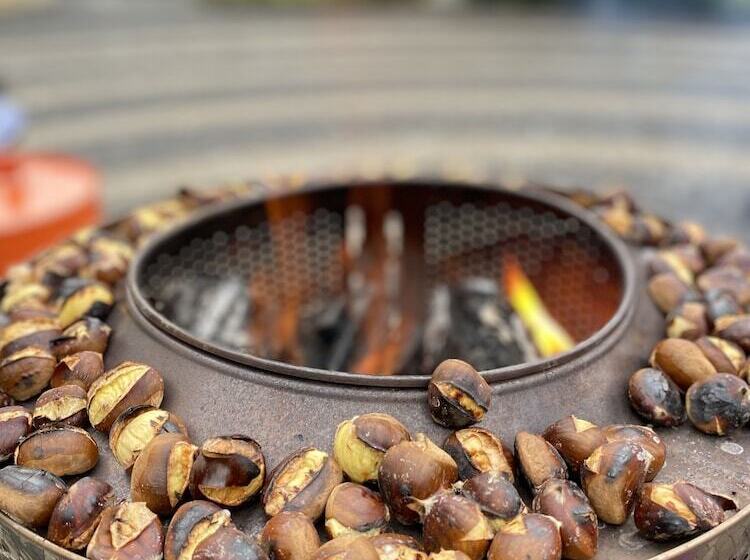 בית מלון כפרי Kartepe Panorama