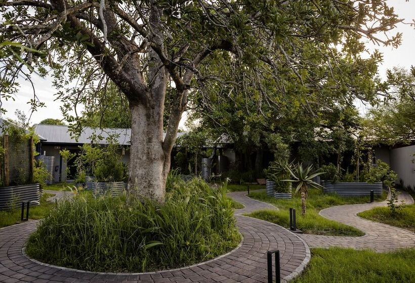 בית מלון כפרי Kruger Shalati   Train On The Bridge & Garden Suites