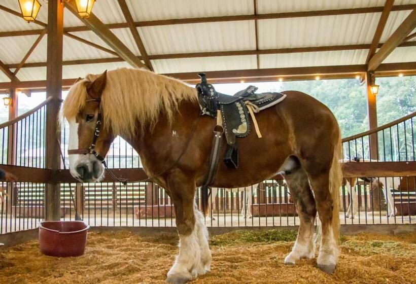 酒店 Mesa De Los Santos