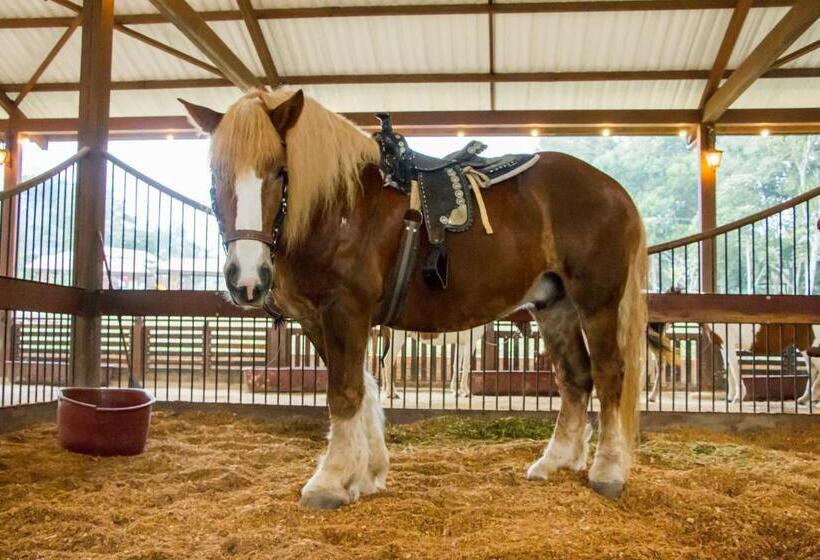 酒店 Mesa De Los Santos