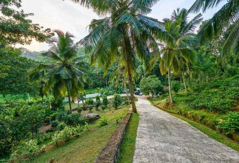 Пансион Villa The Divine