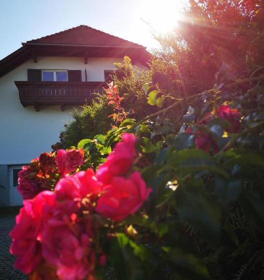 Aparthotel Goldener Hahn Apartments