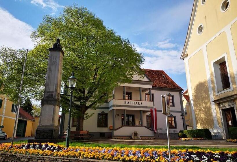 Aparthotel Goldener Hahn Apartments