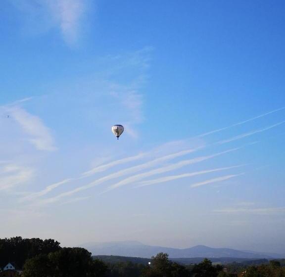 Aparthotel Goldener Hahn Apartments