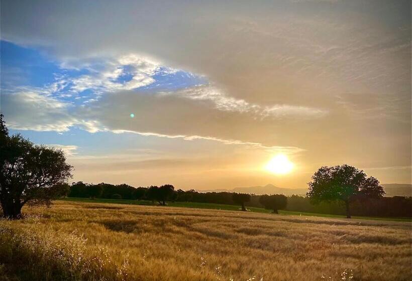 B&b Terrazza Sul Borgo