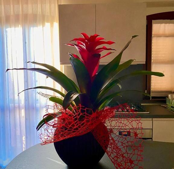 B&b Terrazza Sul Borgo