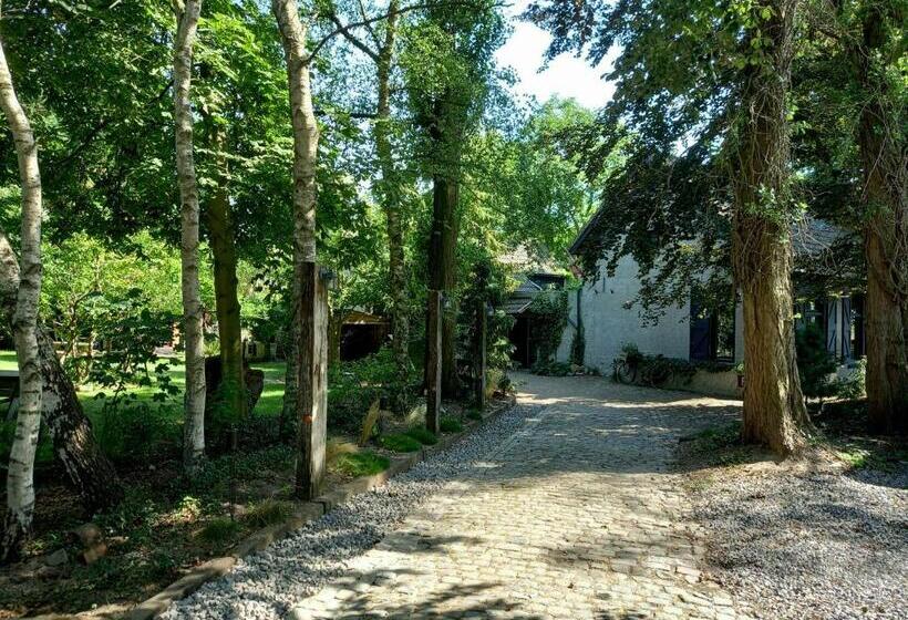 B&b Wood, Food & More