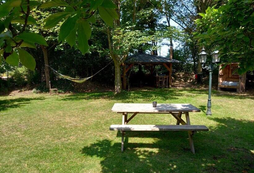 B&b Wood, Food & More