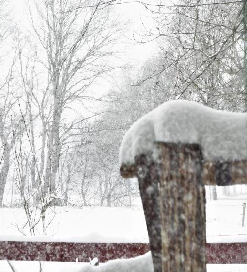 B&b Wood, Food & More