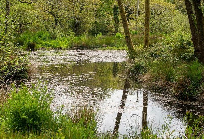 Cusgarne Manor Boutique B&b   Adults Only