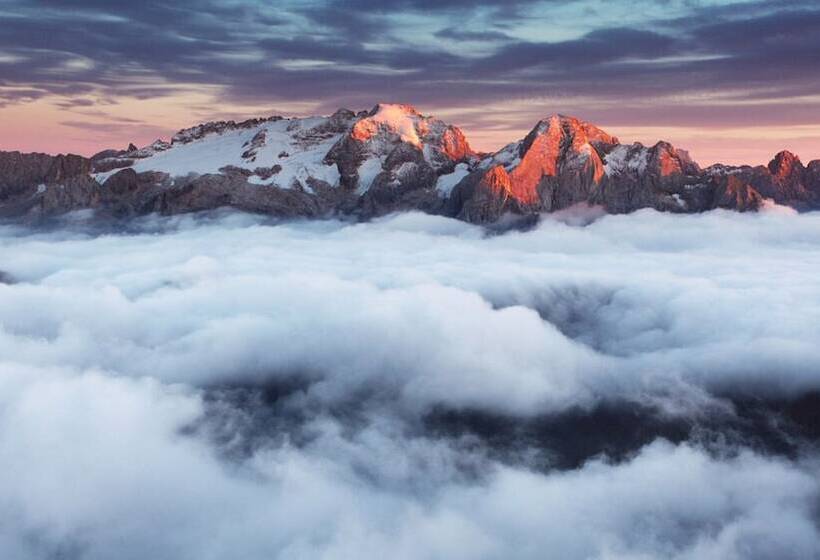 ホテル Chalet Queen