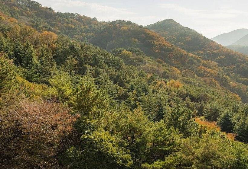 هتل Denbasta Forest