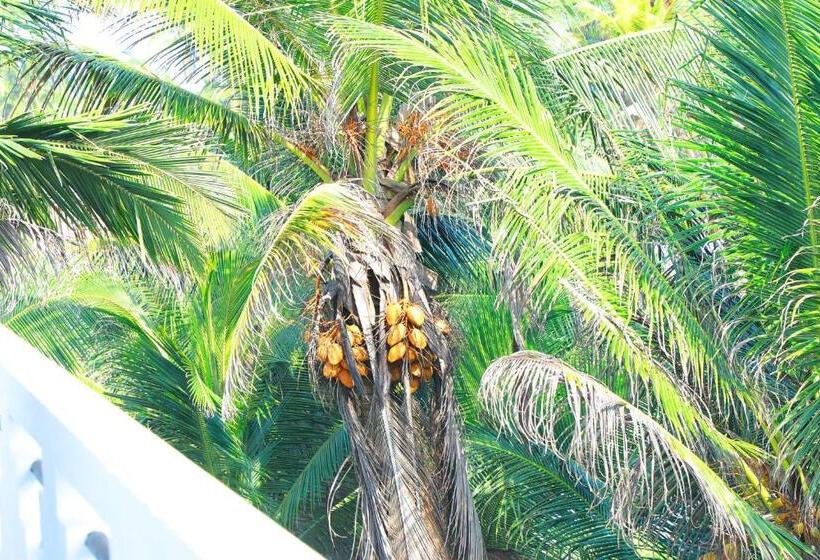 Отель Horizon Palace Kabalana