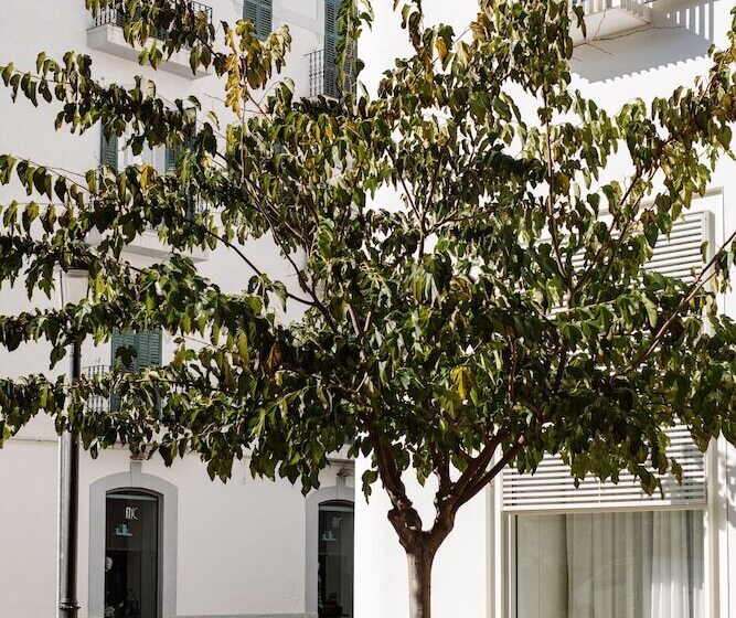 호텔 The Standard, Ibiza