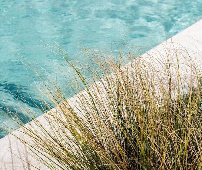 호텔 The Standard, Ibiza