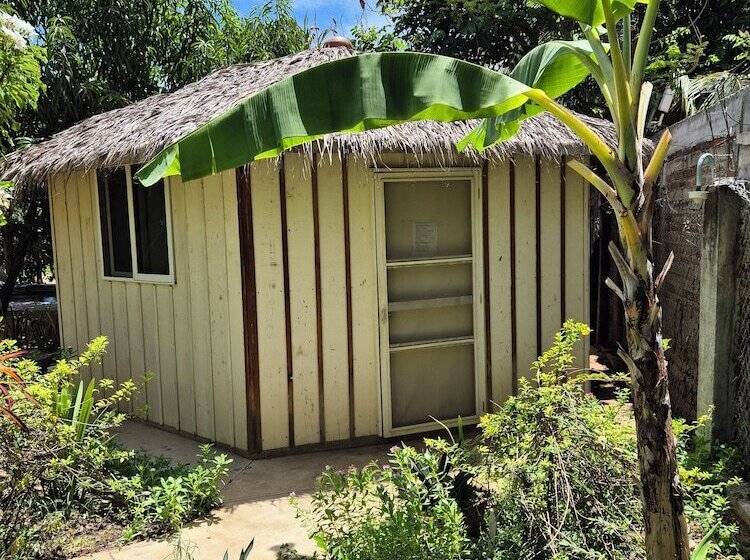 پانسیون Bugambilias Alojamiento