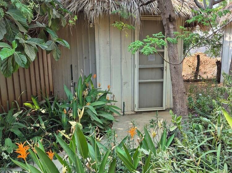 پانسیون Bugambilias Alojamiento