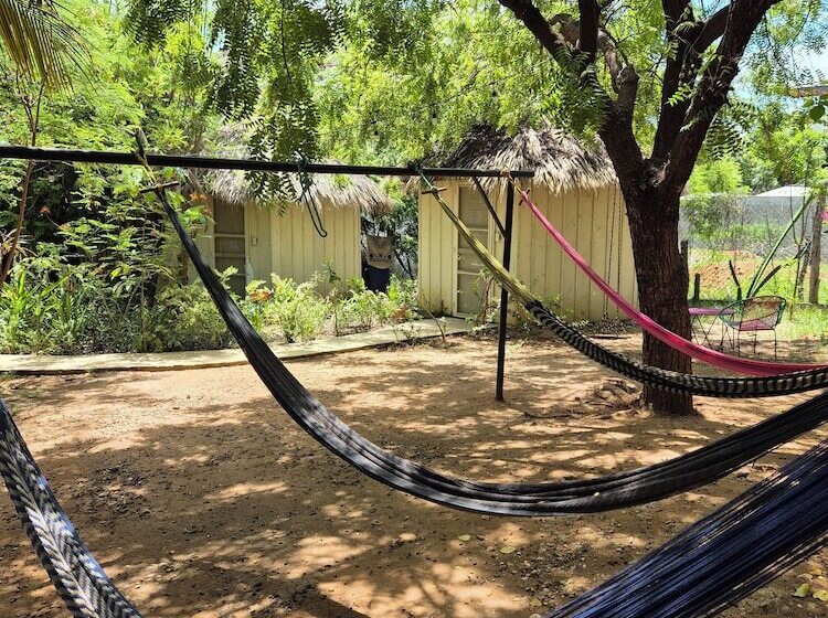 پانسیون Bugambilias Alojamiento