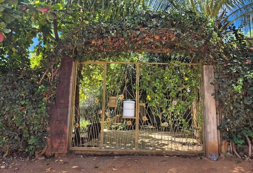 پانسیون Bugambilias Alojamiento