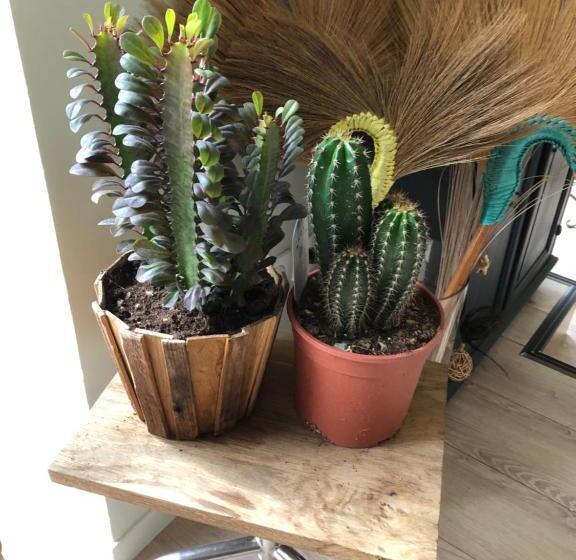 פנסיון L Atelier Et Apres