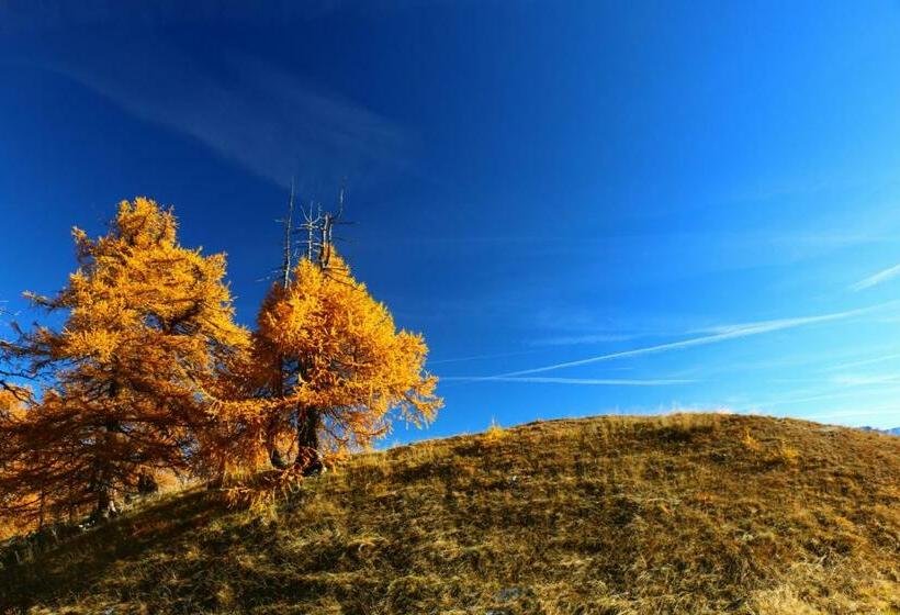 住宿加早餐  Alpina Hotel Apartments