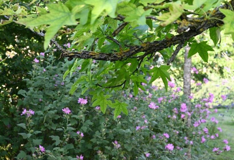 住宿加早餐  Villa Champallement