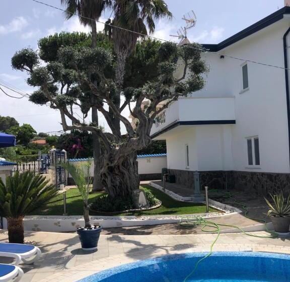 住宿加早餐  Villa Ludo A Zambrone Tropea