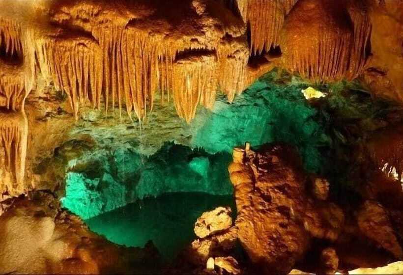 호텔 5ª Vigia Guest House