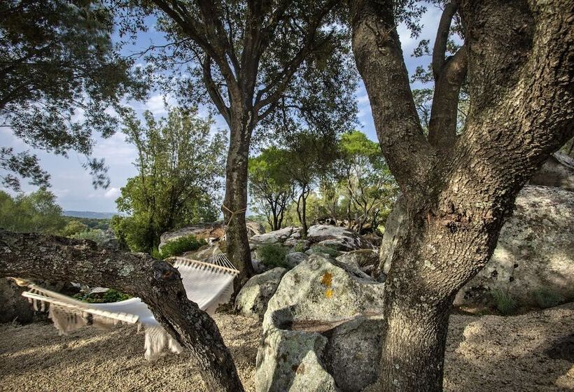 בית מלון כפרי Gallicantu Stazzo Retreat