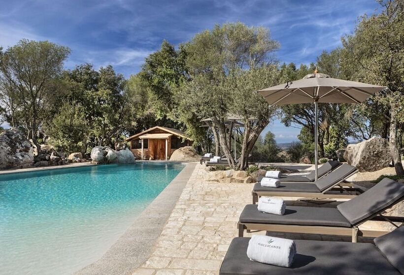 בית מלון כפרי Gallicantu Stazzo Retreat