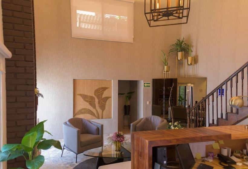 호텔 San José Suites Boutique