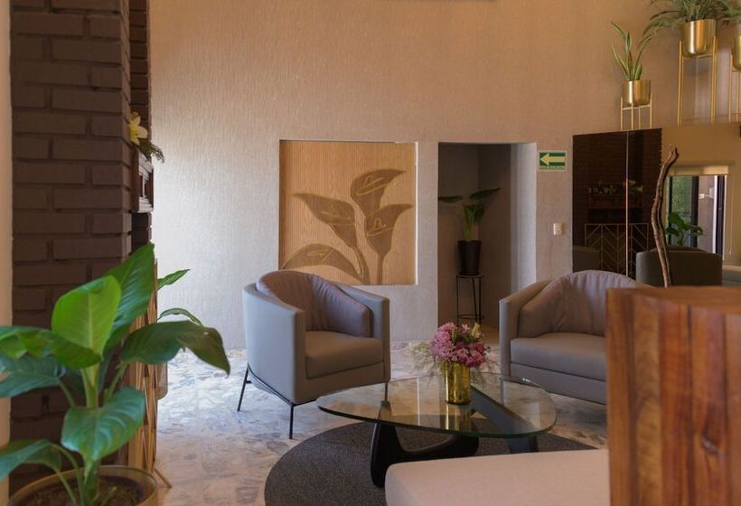 호텔 San José Suites Boutique