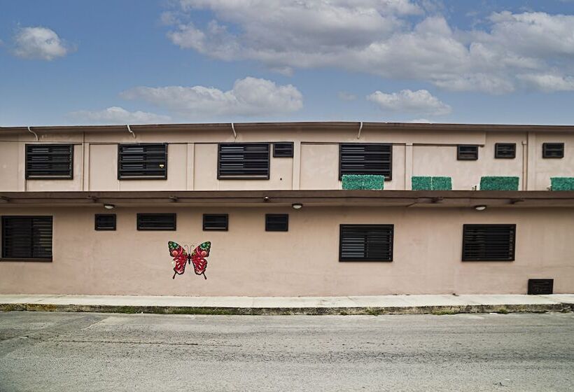 호텔 San José Suites Boutique