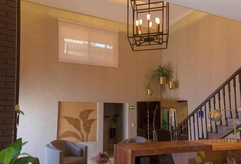 호텔 San José Suites Boutique