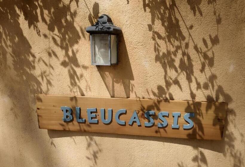 پانسیون Villa Bleucassis