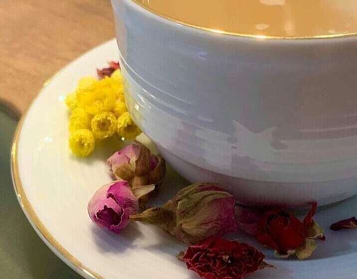 Rosa Therapy Butik Otel