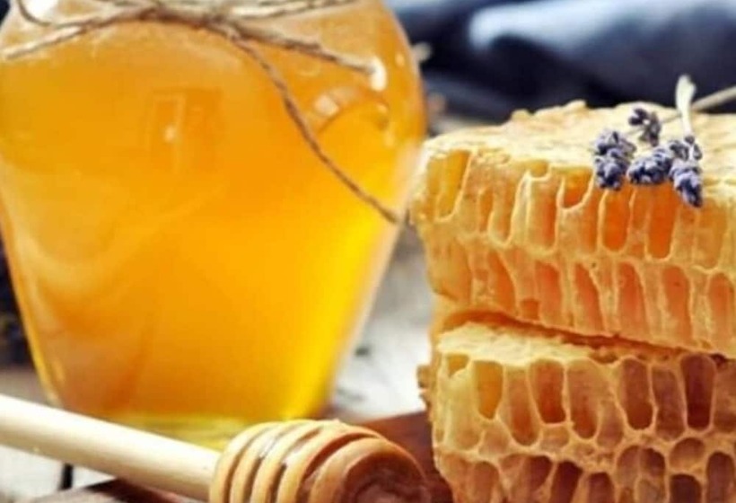 Rosa Therapy Butik Otel